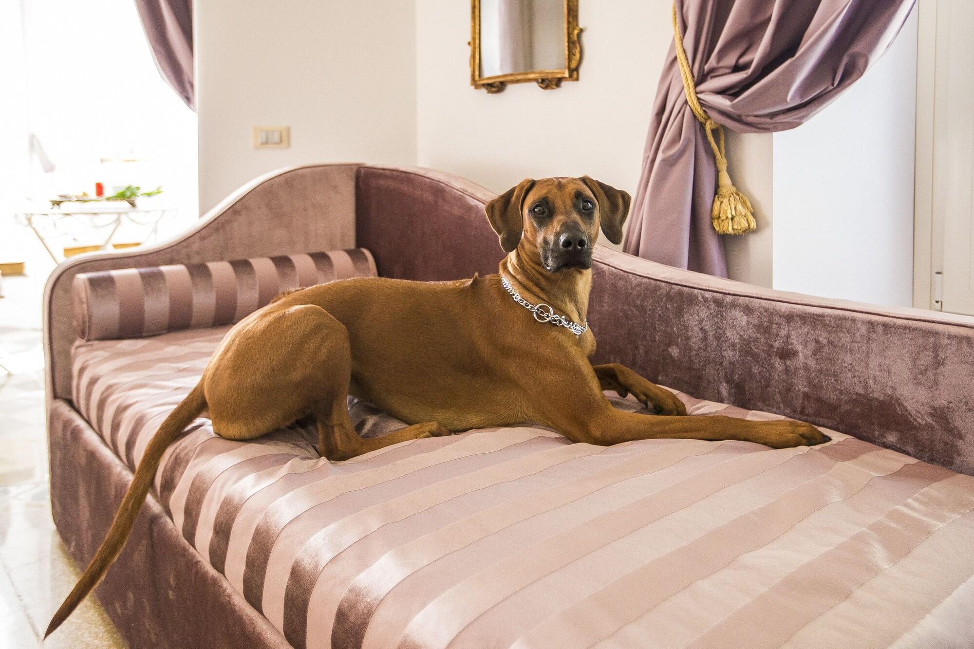 Trastevere Royal Suite Рим Экстерьер фото